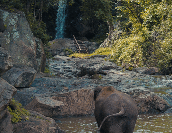 Discover & Dine 3 Nights/4 Days